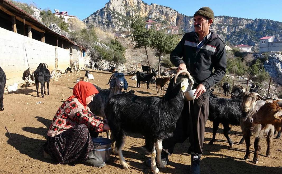 Diplomasını sandığa kaldırdı, dağlara çıktı! 4